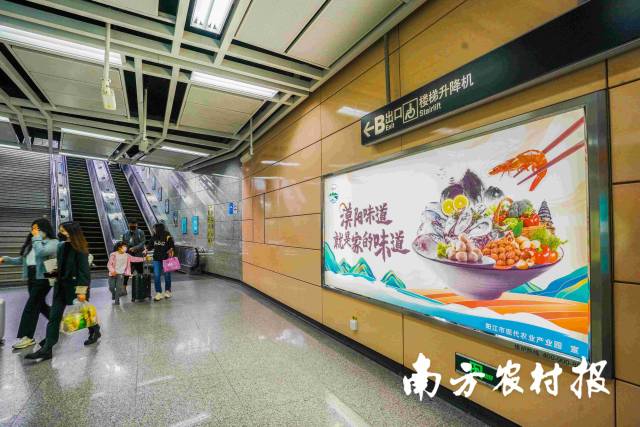 南方农村报 杨玲 拍摄