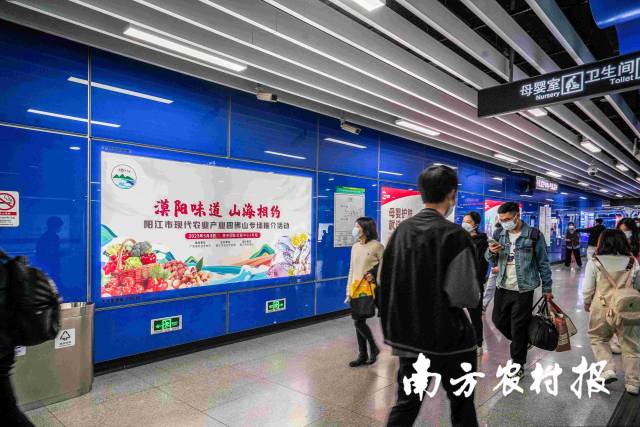 南方农村报 杨玲 拍摄