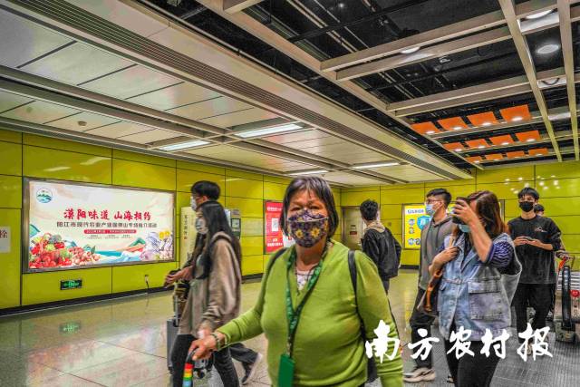 南方农村报 杨玲 拍摄