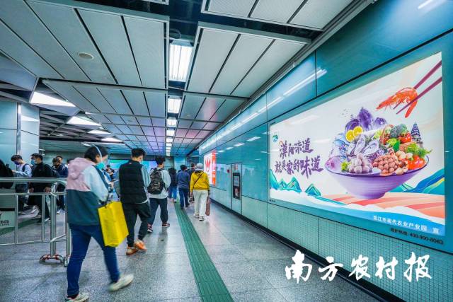 南方农村报 杨玲 拍摄