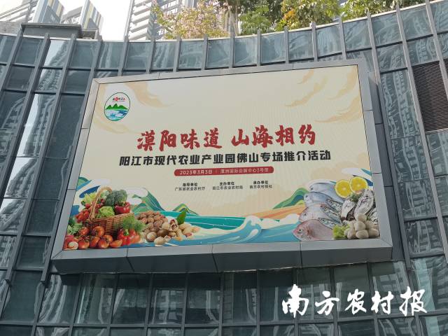 南方农村报 杨玲 拍摄