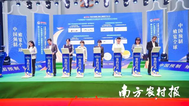 南方農(nóng)村報(bào) 楊玲 拍攝