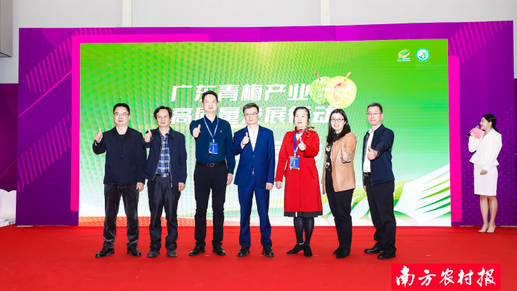 破困局，谋新局，广东青梅产业高质量发展注入力量