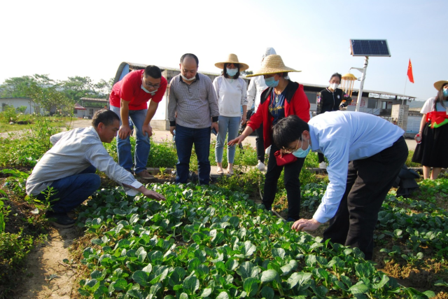 专家团队自成立以来，针对广东省农田重大病虫草鼠害开展预警及绿色防控技术研究，科技助力水稻、果树、蔬菜产业健康发展。