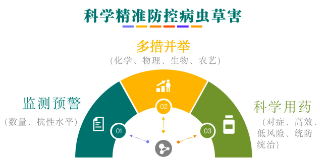 多措并举实现病虫草害科学、精准防控