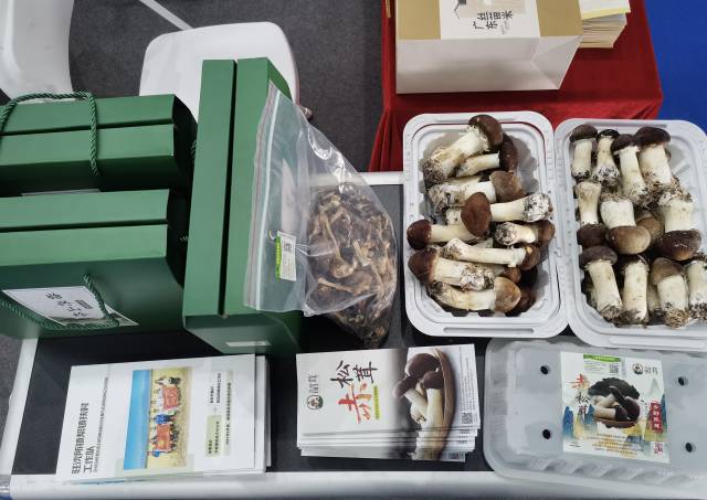 来自生态始兴的乡野甄茸“赤松茸”。