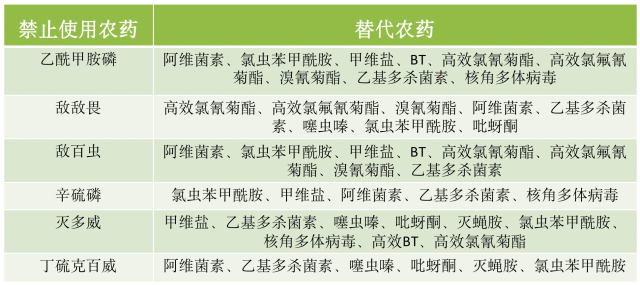 南方农村报 杨吉龙 拍摄