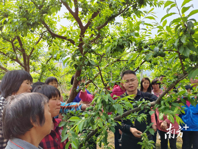 摇钱树”下传授“致富经”