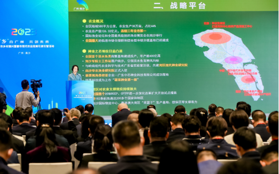 南沙区副区长刘小潼介绍“南沙机遇”