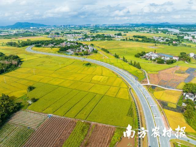 白涛建议，要完善对高标准农田、种业发展等保险支持机制。