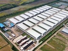 港澳企业行④｜东进农牧：不断更新养殖技术，助力惠州乡村振兴