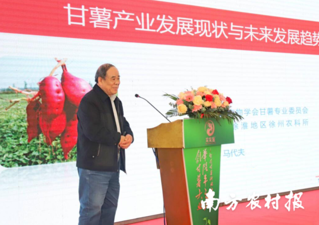 中国作物学会甘薯专业委员会会长马代夫。