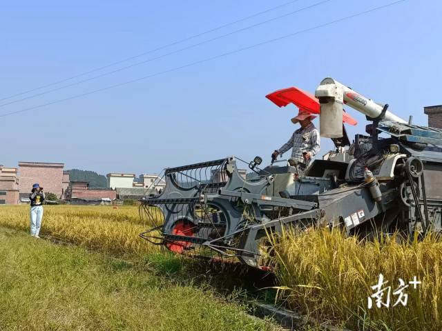 陳靈敏在田間地頭拍攝記錄