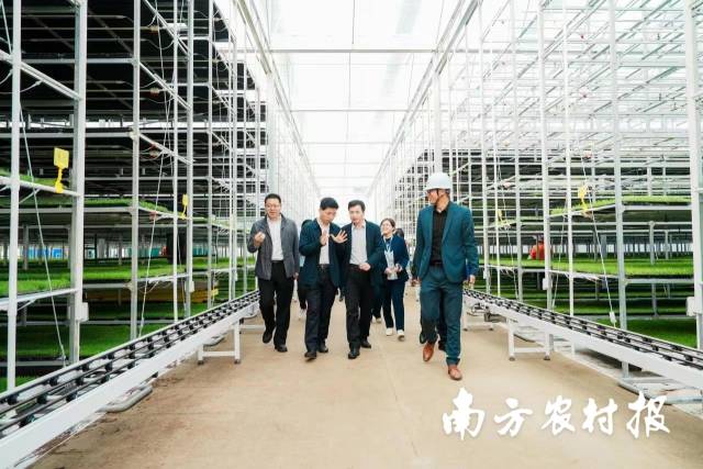 春耕生产现场会领导调研育秧厂 孙毅强/摄