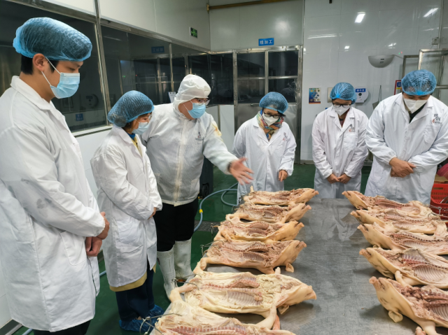 小乳猪大前景！华农专家用科技烤出粤味好菜