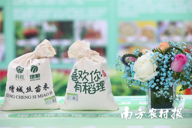 小清新包装的精选增城丝苗米 吴秒衡/摄