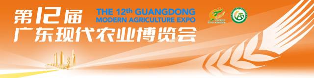 大放异彩！蓬江预制美食亮相首届中国国际（佛山）预制菜产业大会