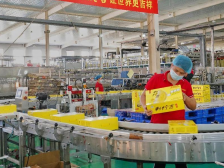 广药集团李楚源：分级管理、培育龙头，深挖老字号富矿