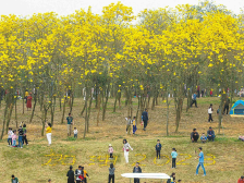 电白乡村奏响“奋进曲”|速览《南方日报·电白视窗》第113期