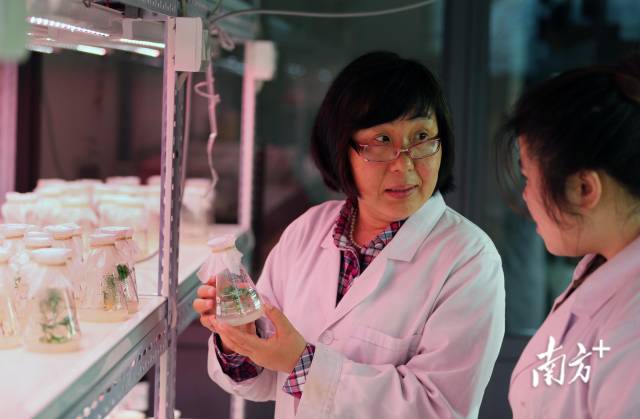 张凤兰在指导学生