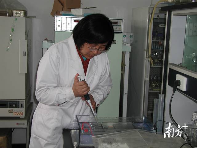 张凤兰在实验室