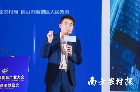 广东南粤产城集团公司董事长何林蔚