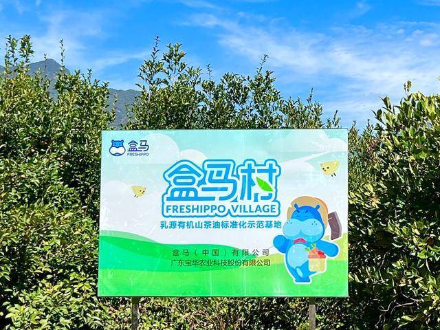 位于乳源县大桥镇的盒马村。