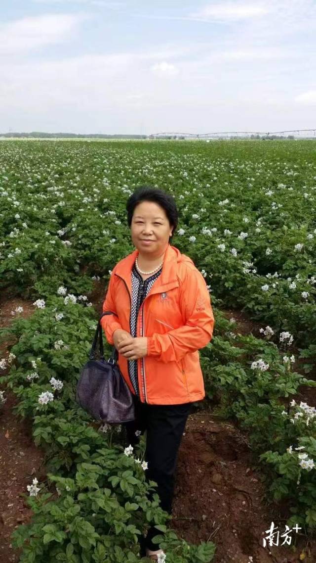 马淑萍在田间。  受访者供图