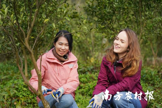 创业十年，她带着贡柑梦走进人民大会堂