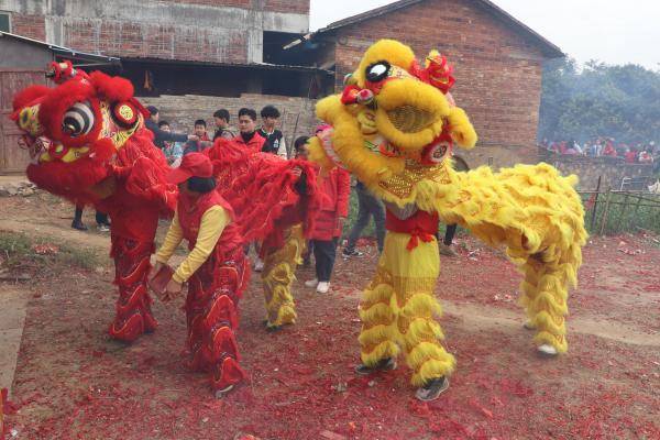 大年初六“姚夫人巡游”，阿嫲们摆脱家务，出门舞狮，玩得很开心。  受访者供图