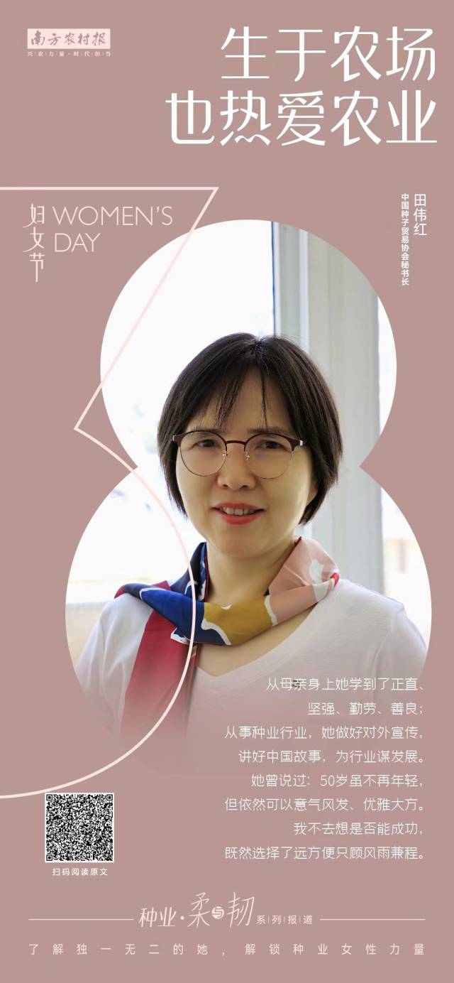 中国种子贸易协会秘书长田伟红