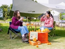 Go! Ms Farmer | Connect Mandarin orange with the world