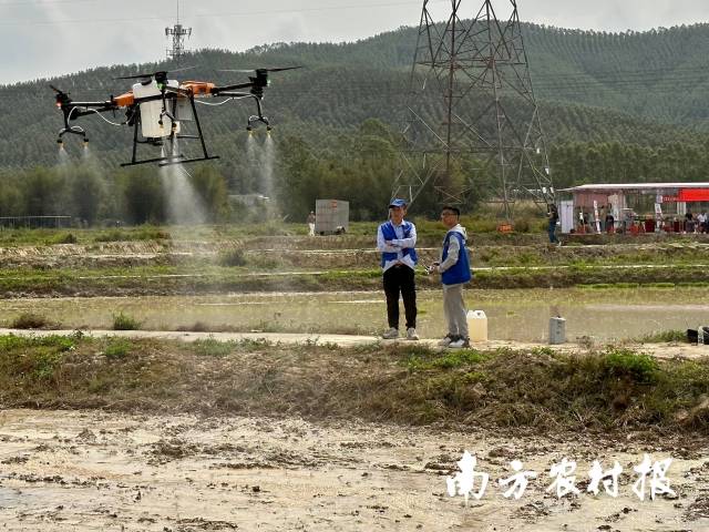 农业植保无人机现场作业。