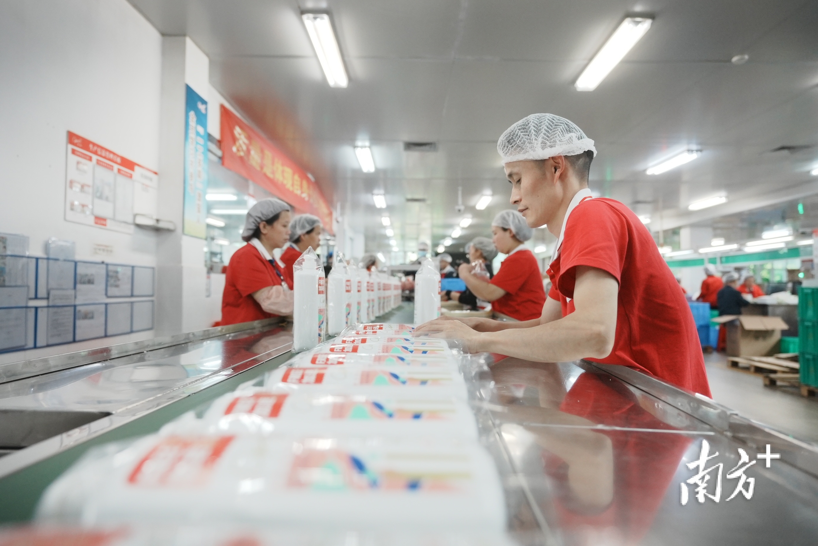 南方+ 王昌辉 拍摄