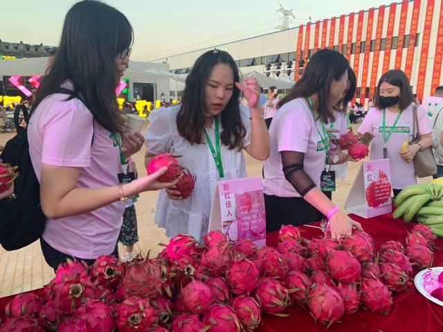 南方农村报 杨吉龙 拍摄