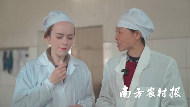 客家娘酒： 一位客家女人的爱意