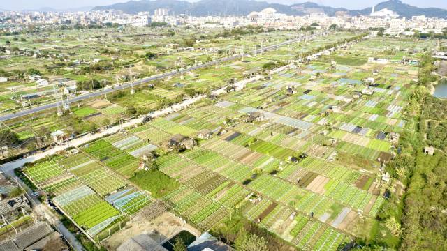 澄海区蔬菜产业基地