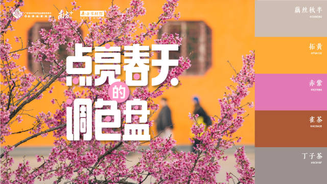 南方农村报 樊静东 制图