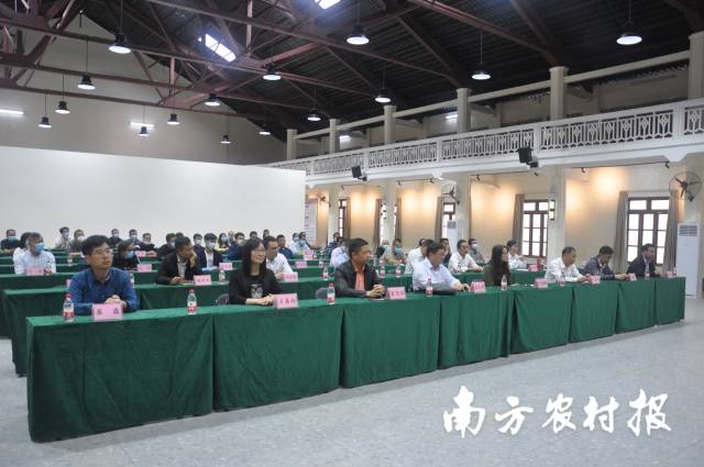 1  南方农村报 杨玲 拍摄