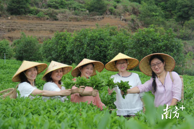 “武夷湾”创始人之一谭冰梅（左一） 