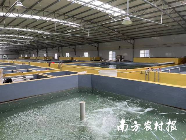 魚(yú)苗生產(chǎn)車(chē)間,。