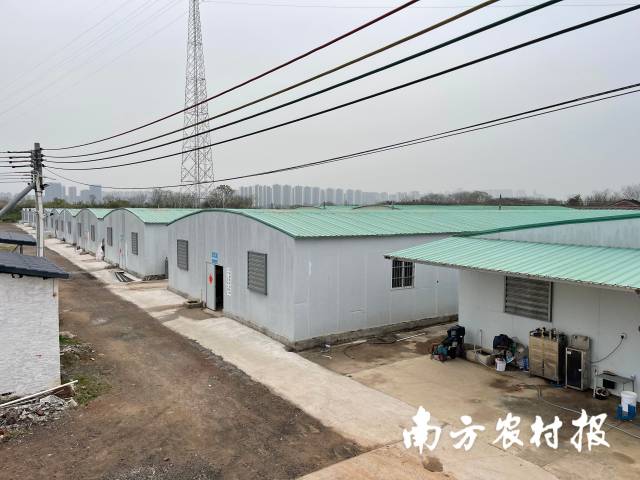 白金水產(chǎn)新建生產(chǎn)基地。