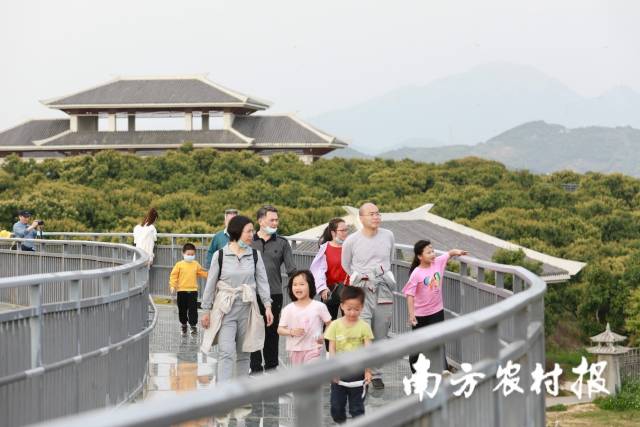 高州是一座宜居宜业宜游的城市。