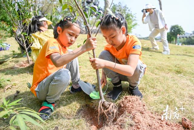 植树节来临，在深圳野生动物园，家长带小朋友挥锹铲土、扶树正苗、围垅浇水。南方日报记者 朱洪波 摄