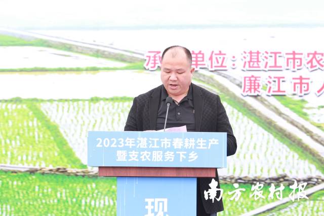 种粮大户代表陈志锋发言，介绍廉江市丰晟种养专业合作社粮食生产情况。 他今年早春计划种植水稻4200亩，目前已全部播种完成，种植面积比去年早稻的2600亩增加1600亩，同时每年还为良垌镇水稻种植户托管面积近万亩。