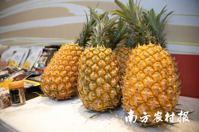 现场的徐闻菠萝鲜果