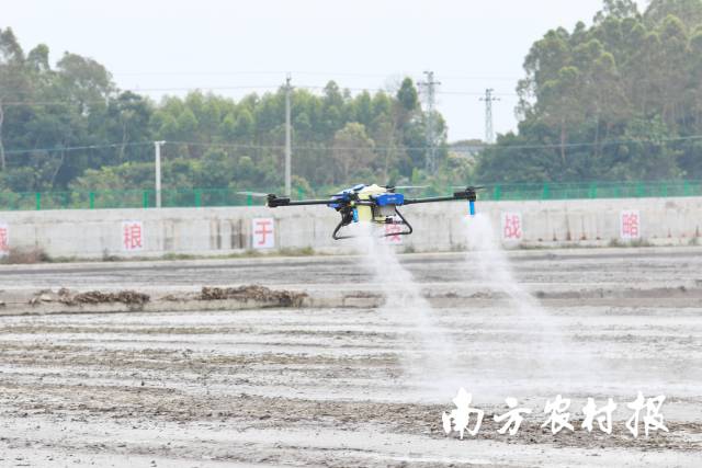 农业无人机病虫害统防统治作业演示。