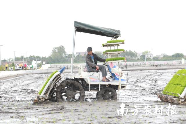 农机插秧，效率翻倍。