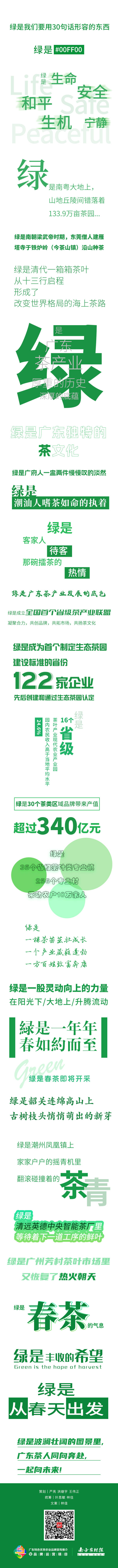 春茶即将上新，最美广东绿来袭