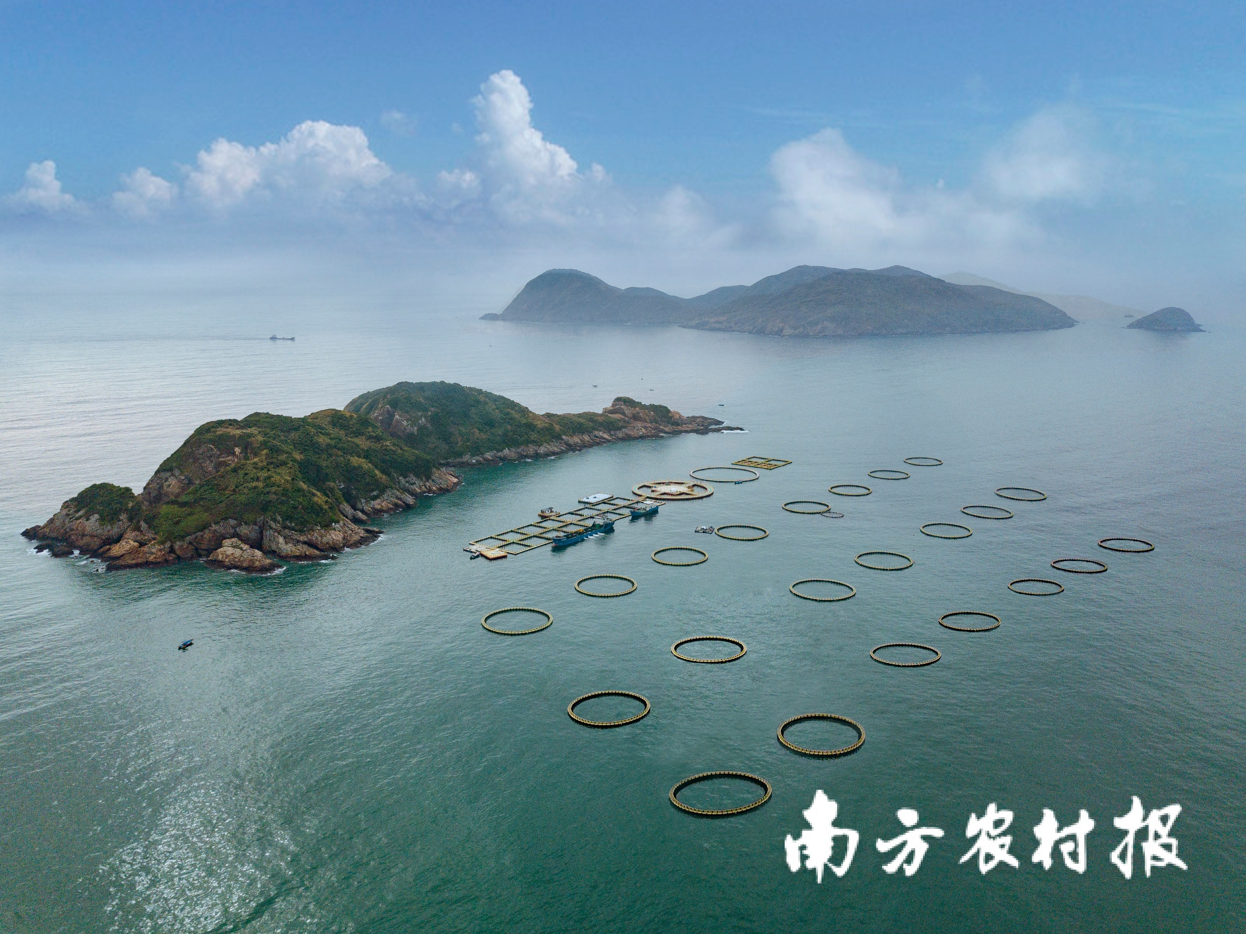 近淺海做“減法”，深遠(yuǎn)海做“加法”,！廣東堅持“生態(tài)優(yōu)先”發(fā)展現(xiàn)代化海洋牧場